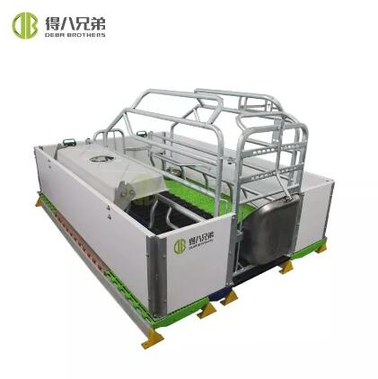 Embracing Nature: How European-Style Farrowing Crates Accommodate Sow's Natural Behaviors